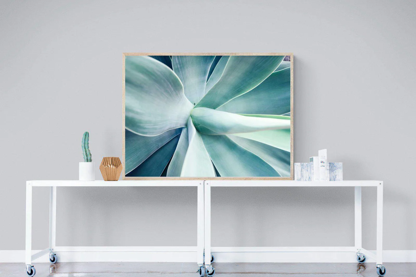 Agave