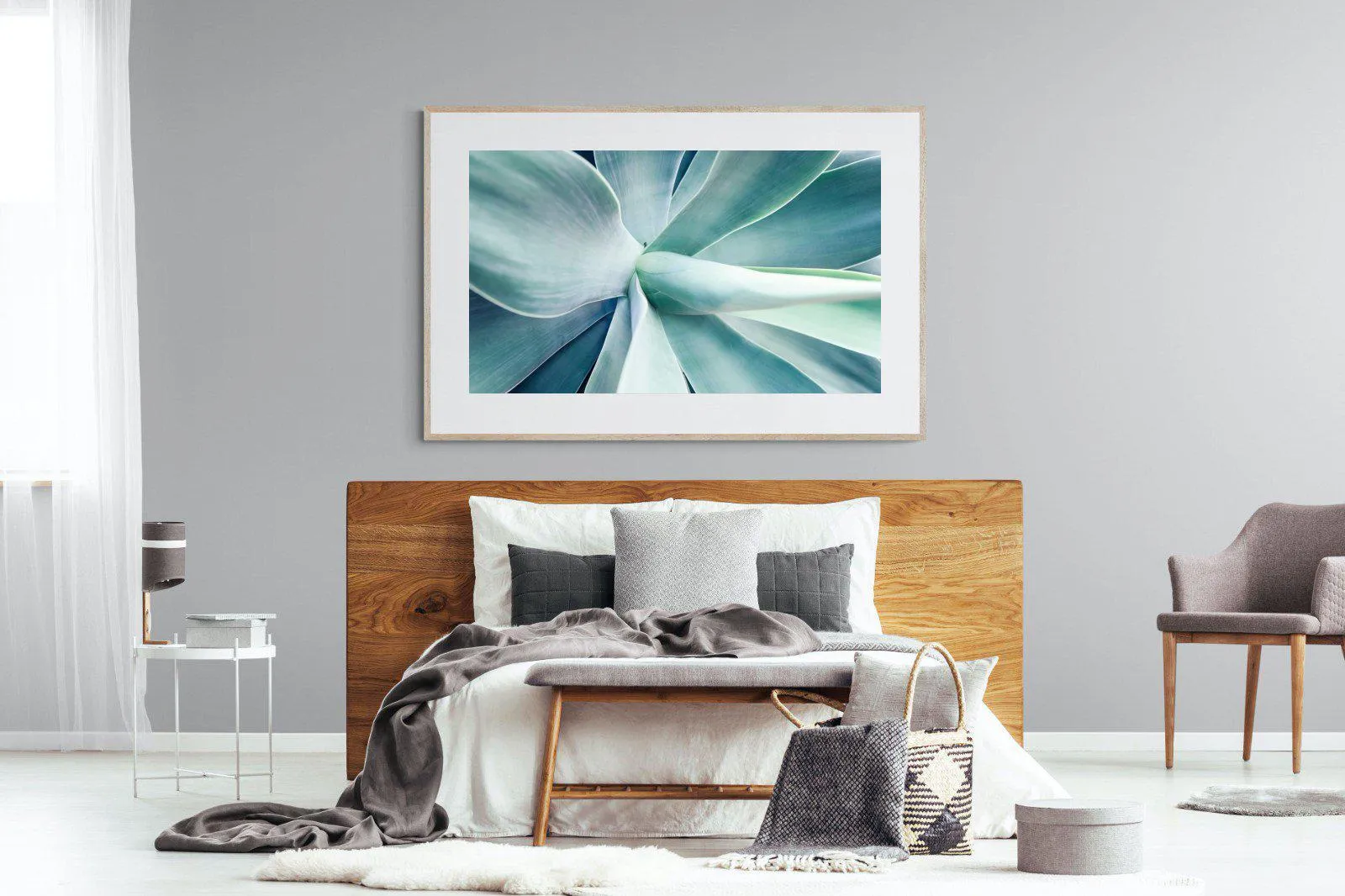 Agave
