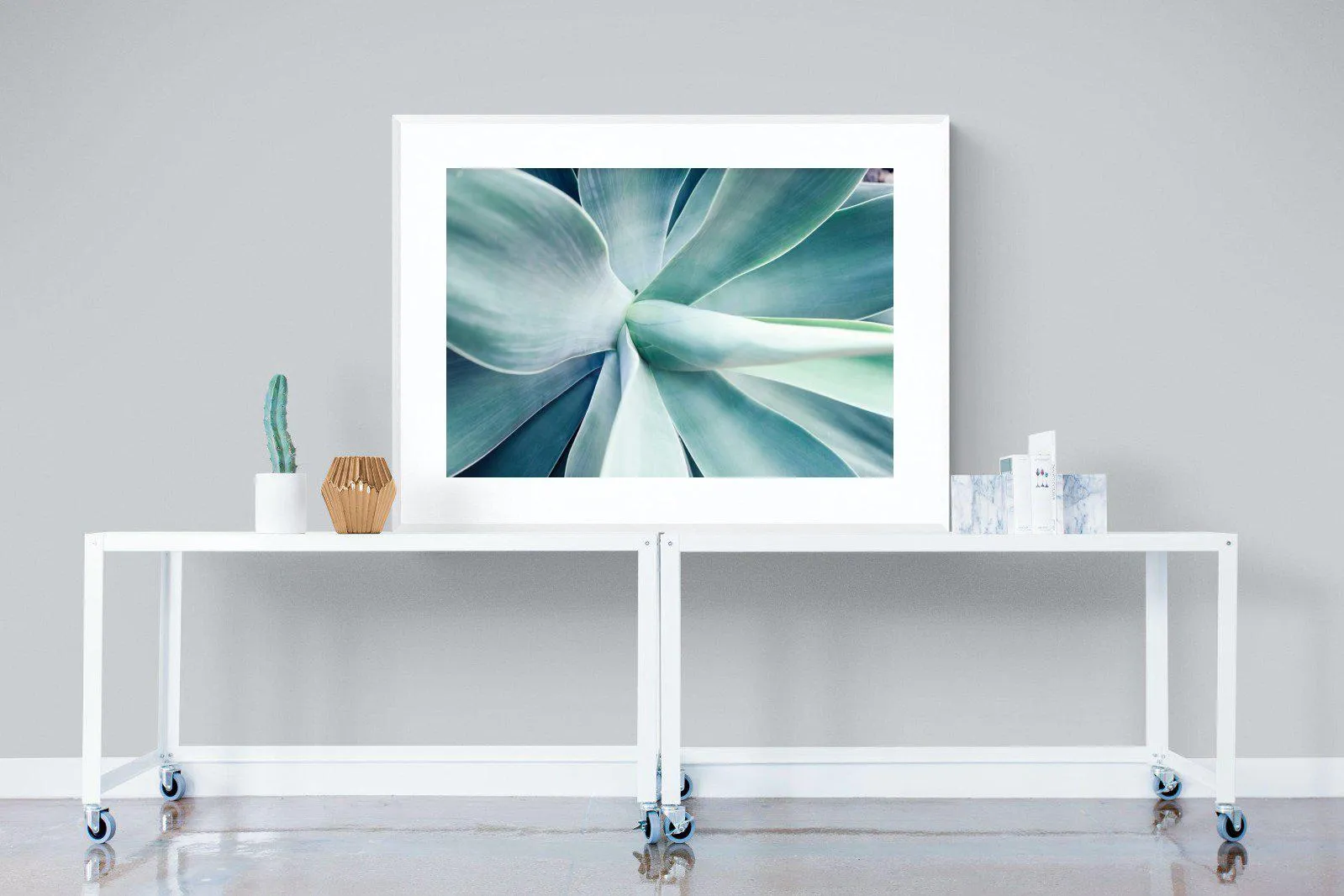 Agave