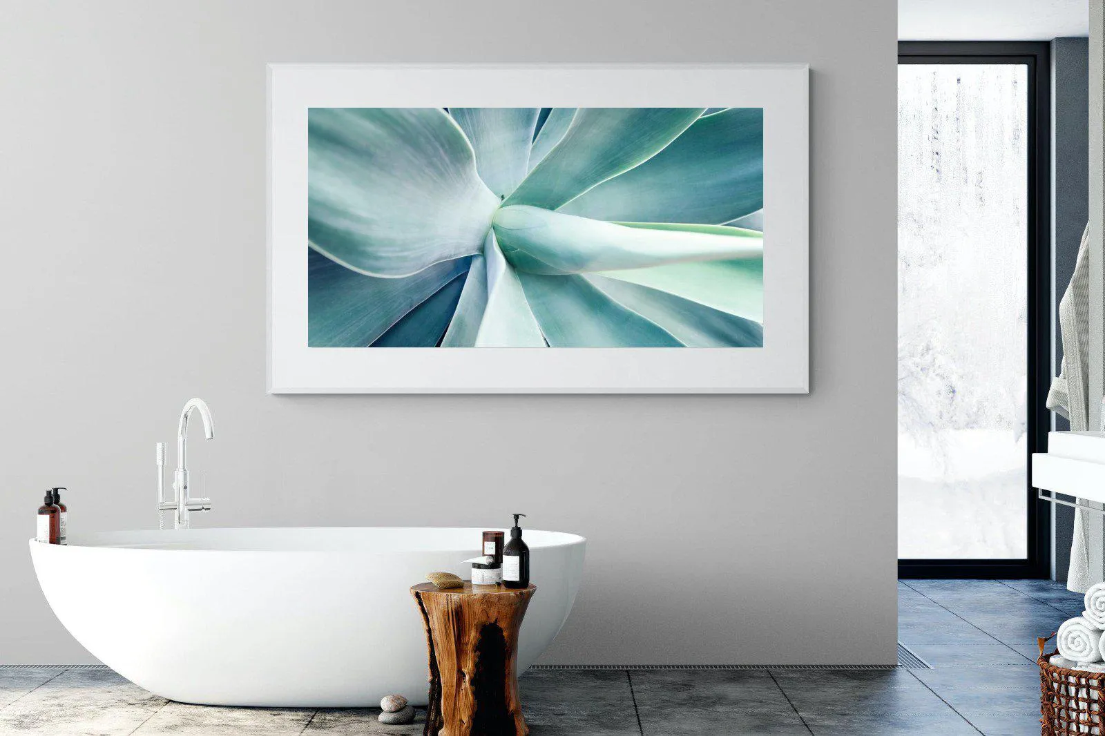 Agave