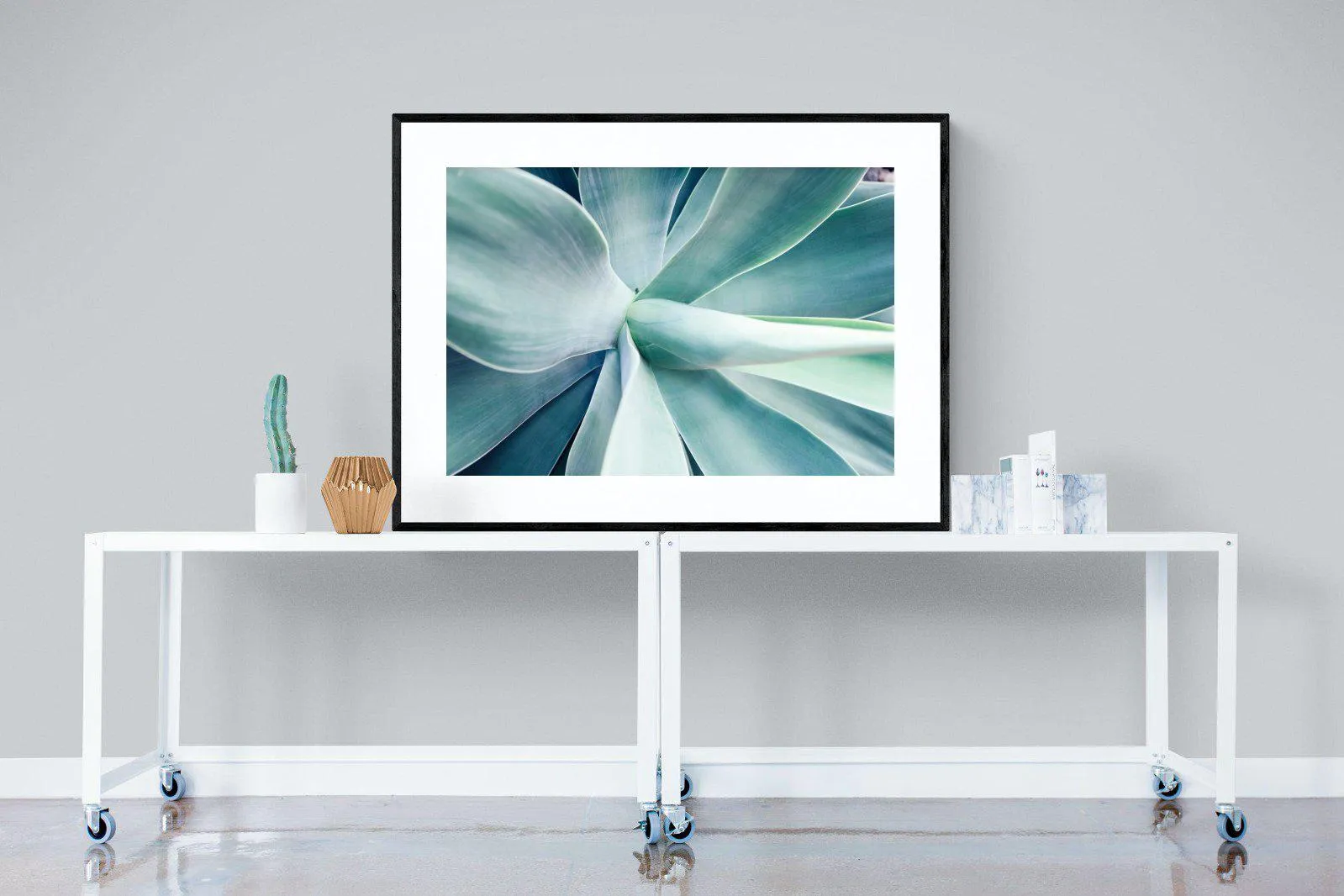 Agave