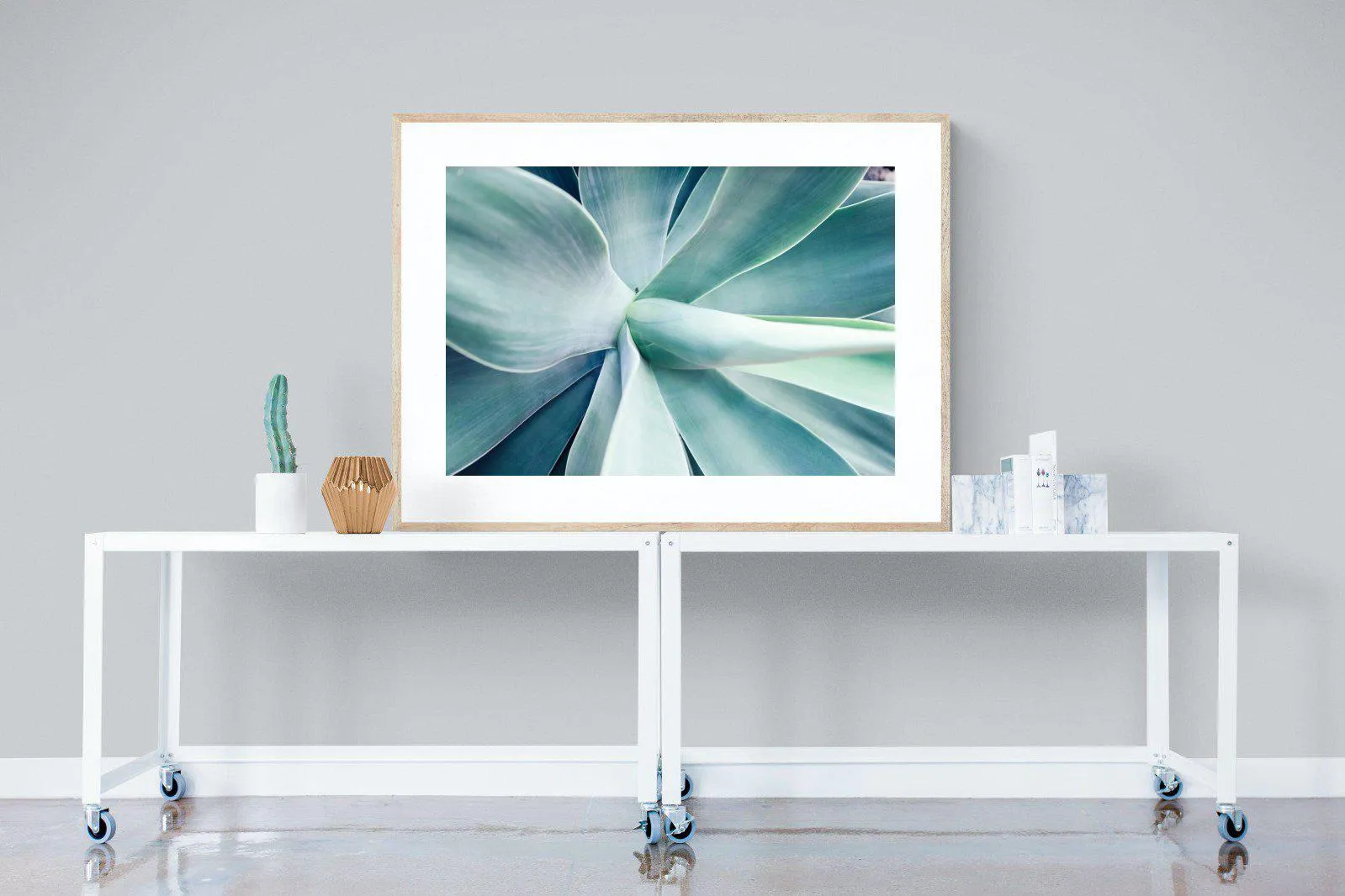 Agave