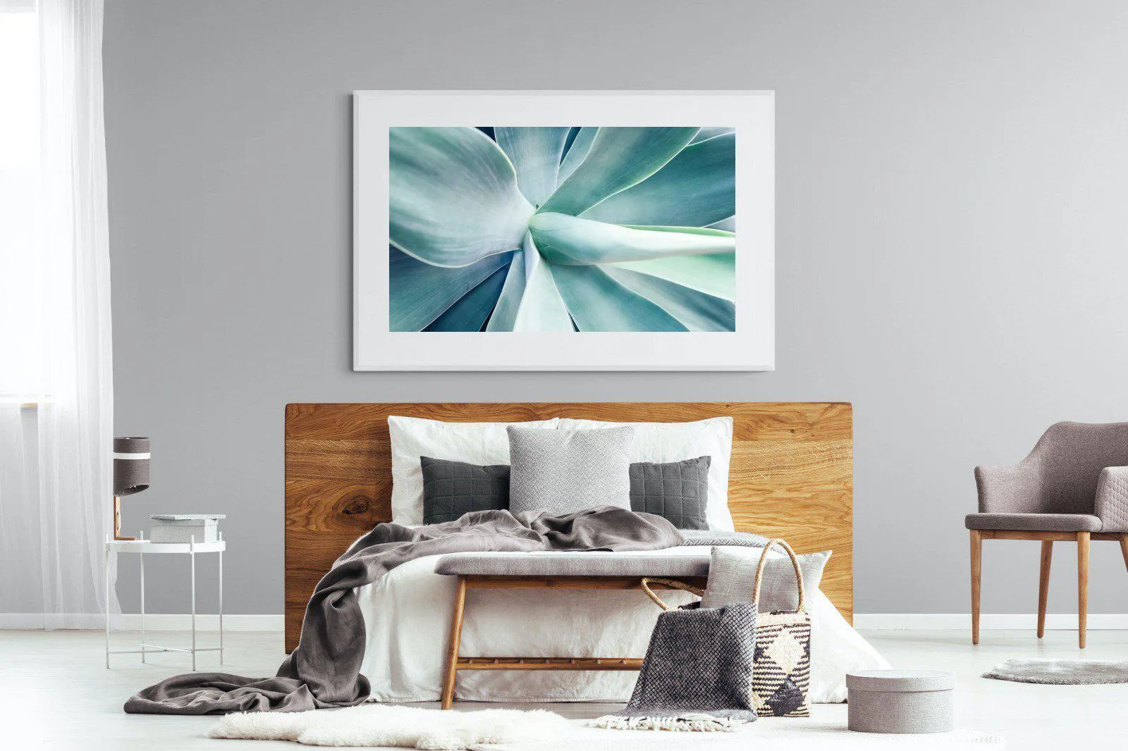 Agave