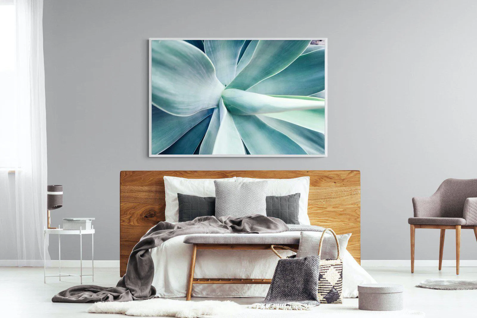 Agave