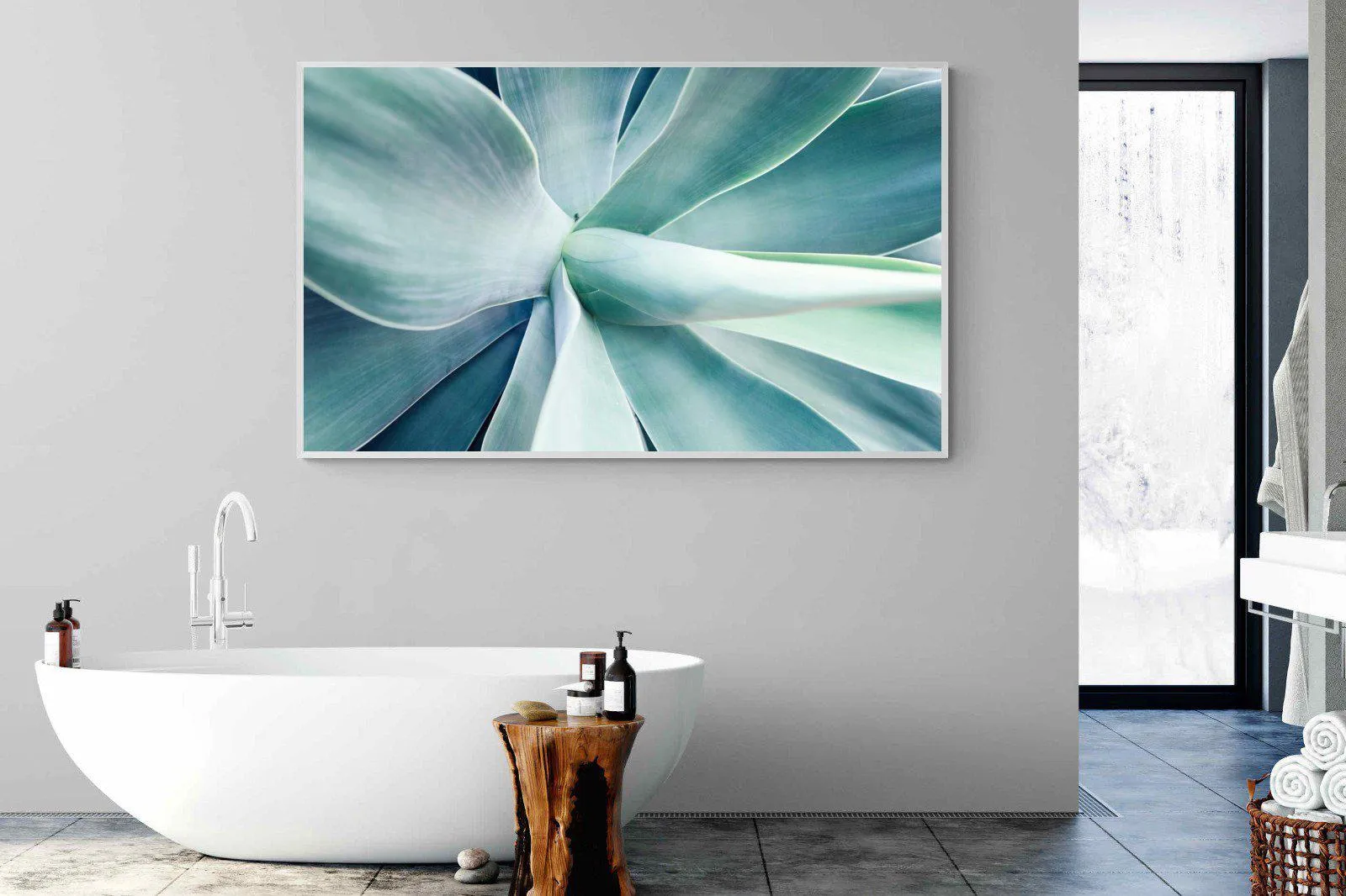 Agave