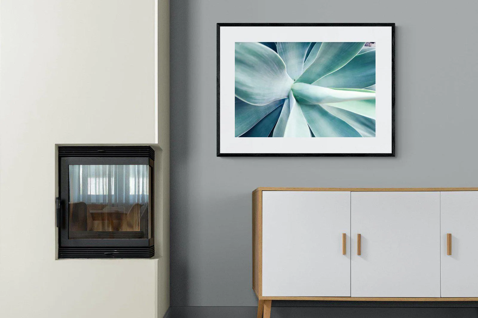 Agave