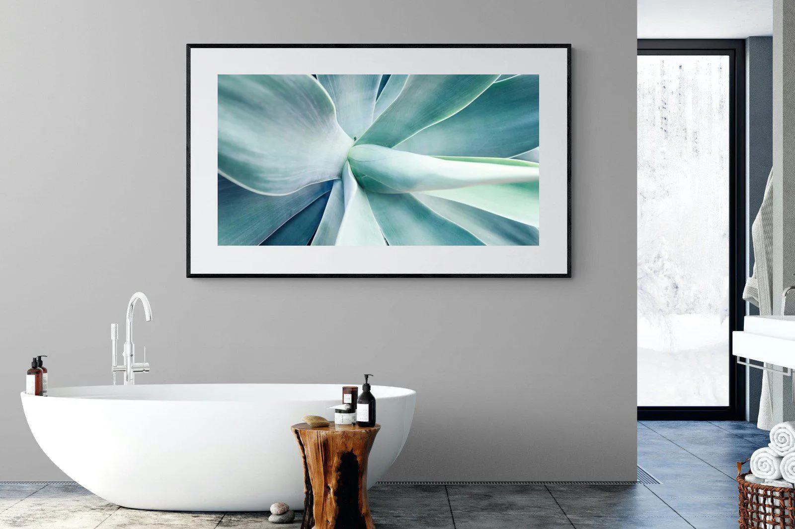 Agave