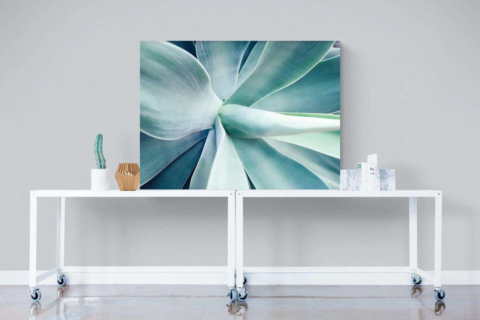Agave