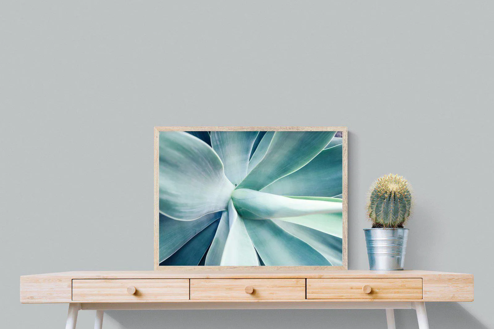 Agave