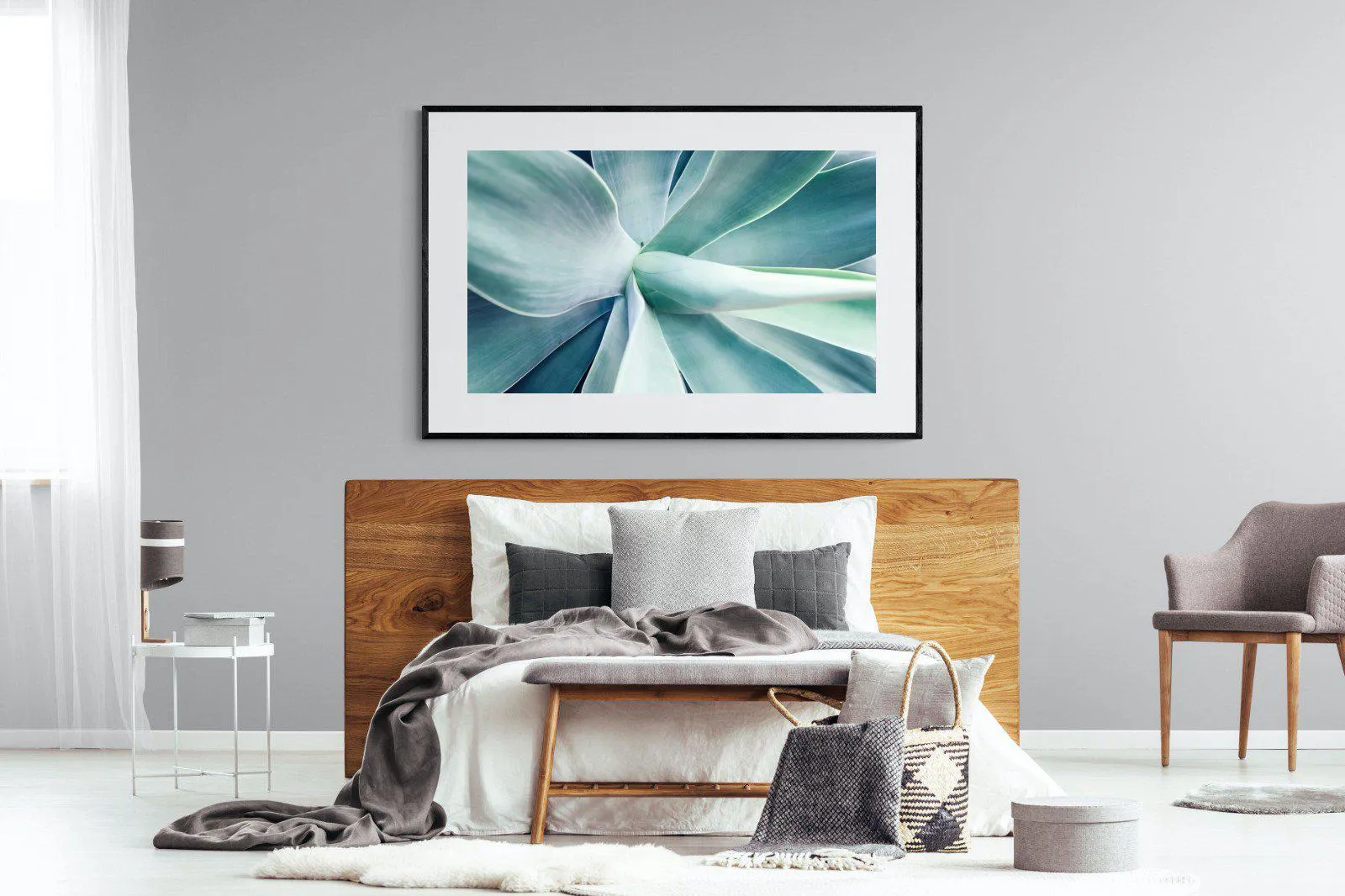 Agave