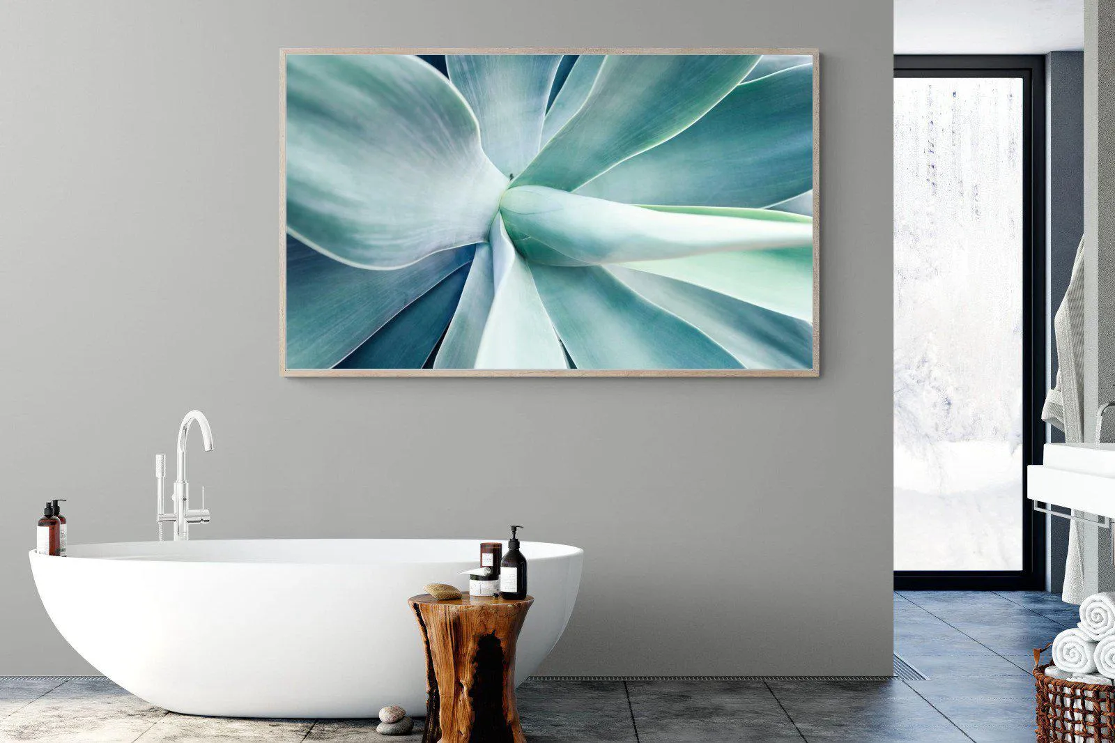 Agave