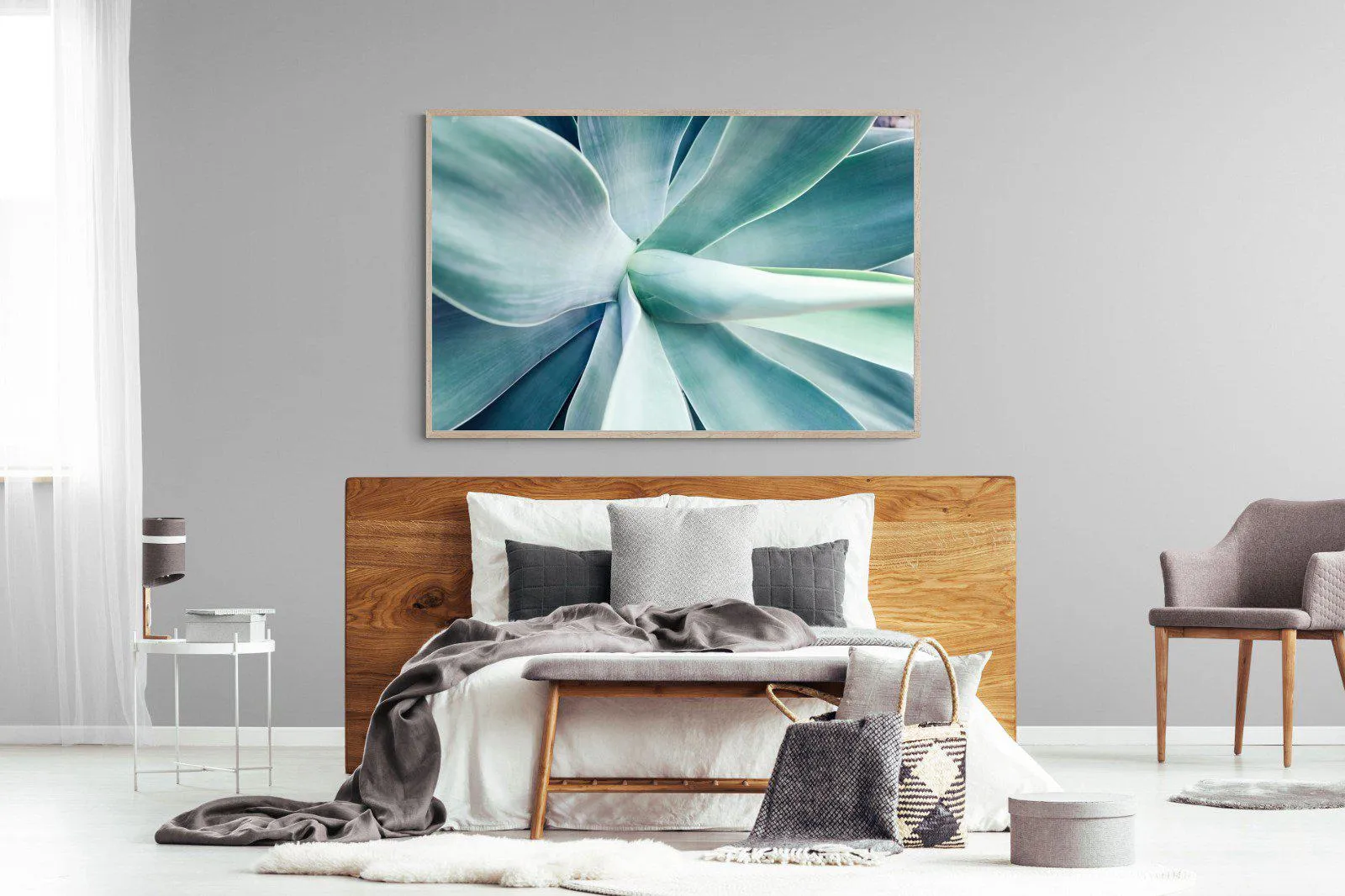 Agave