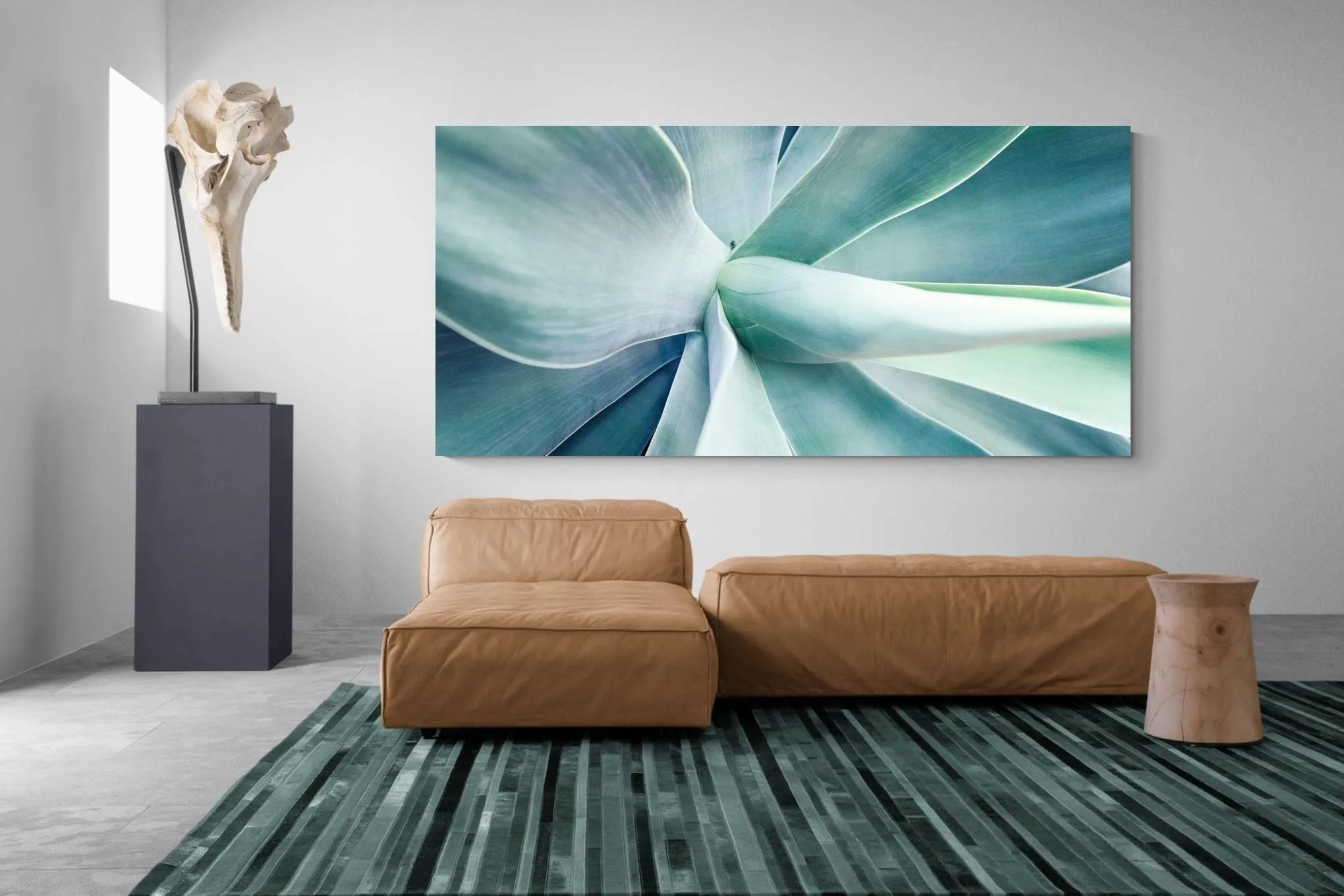 Agave