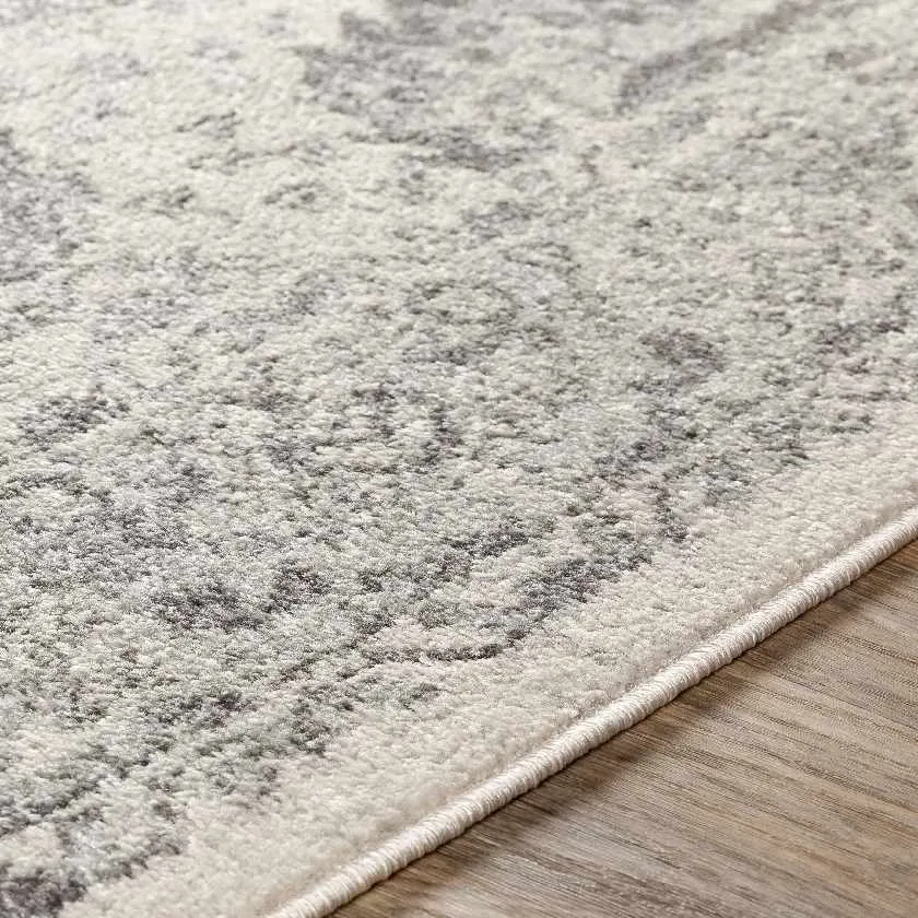 Ampngar Transitional Area Rug