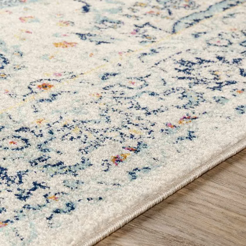 Ampngar Transitional Area Rug