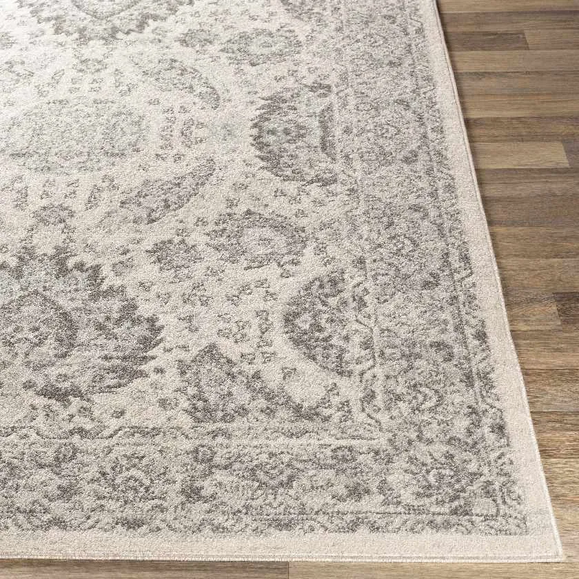 Ampngar Transitional Area Rug