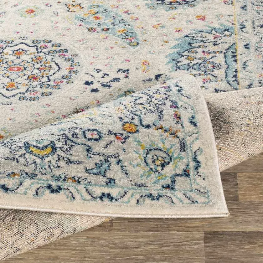 Ampngar Transitional Area Rug
