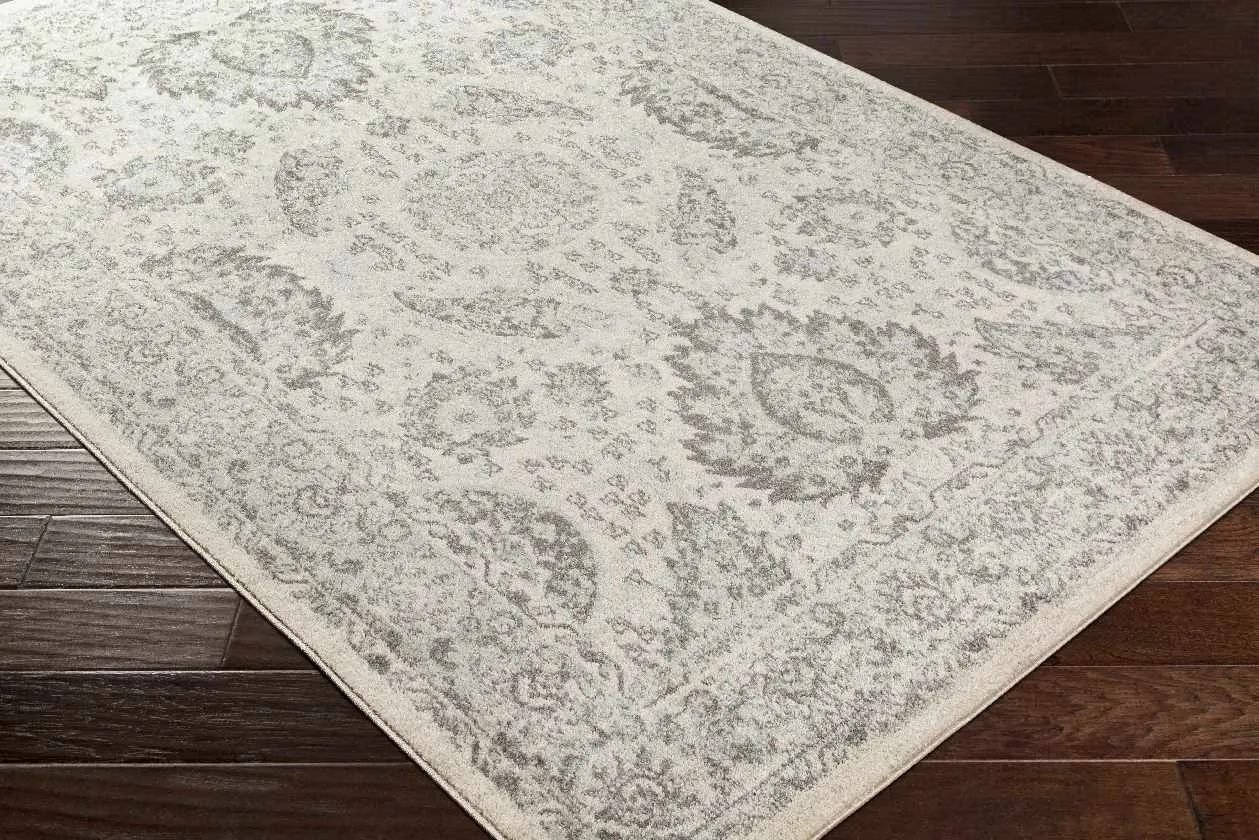 Ampngar Transitional Area Rug
