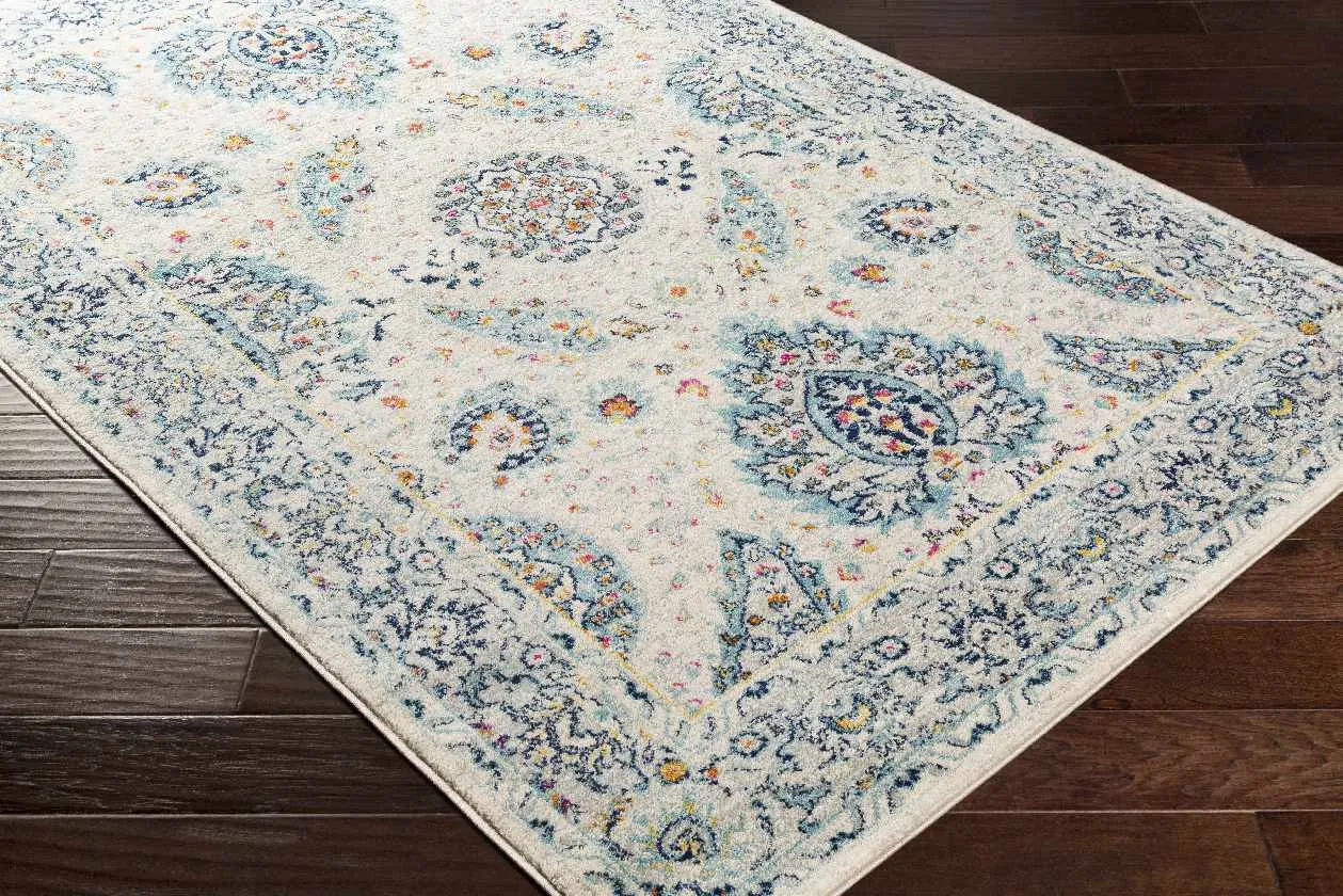 Ampngar Transitional Area Rug