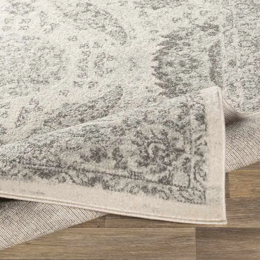 Ampngar Transitional Area Rug