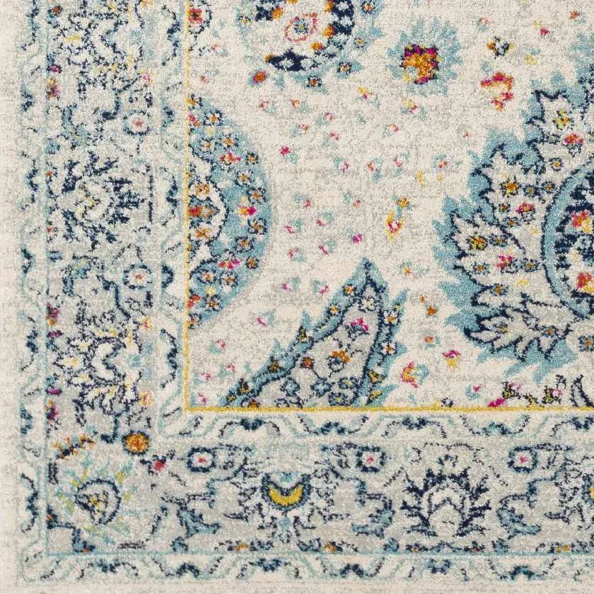 Ampngar Transitional Area Rug