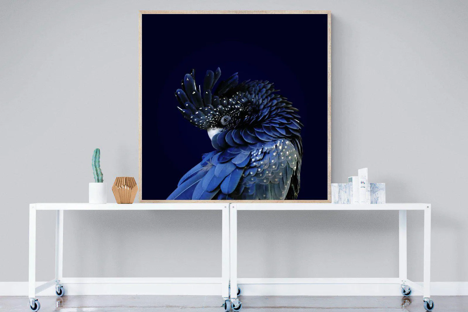 Cockatoo