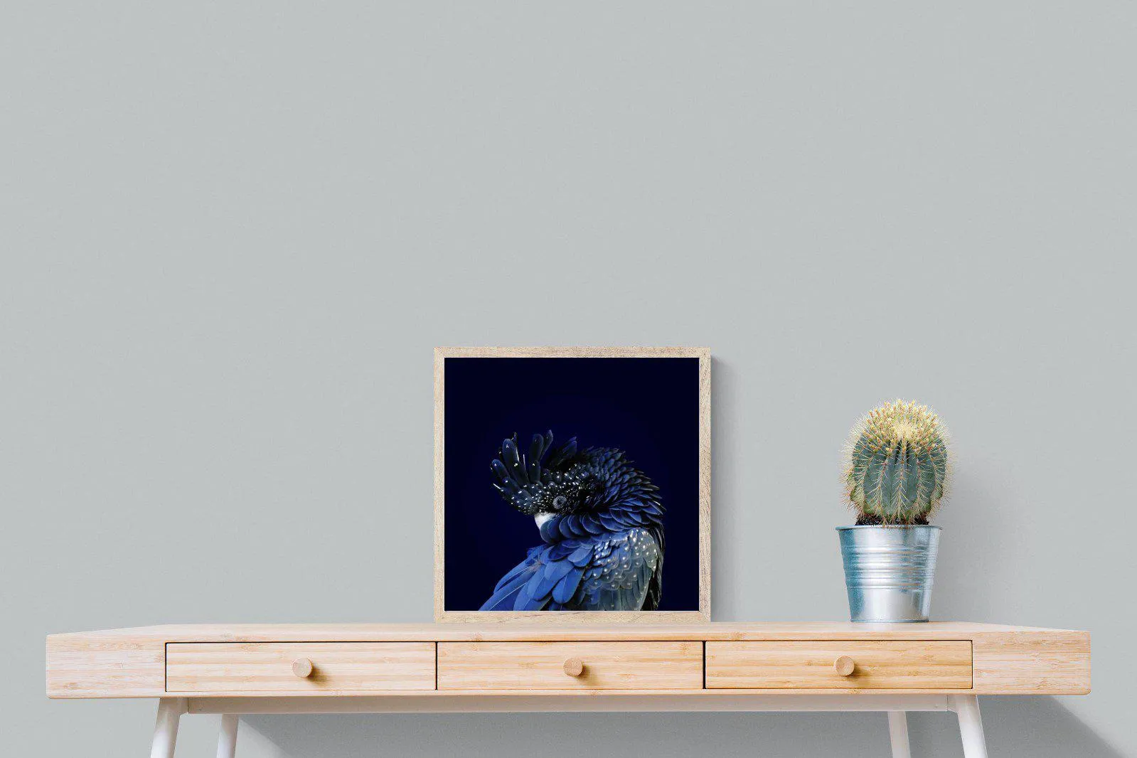 Cockatoo
