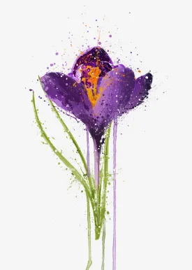 Flower Wall Art Print 'Crocus'