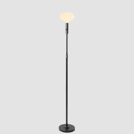 Poise Adjustable Floor Lamp in Graphite   Oval II