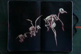 "Dead Messenger"