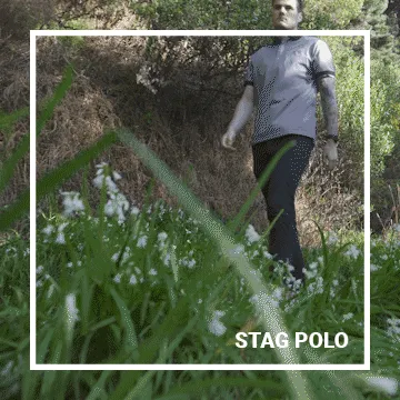Stag Polo