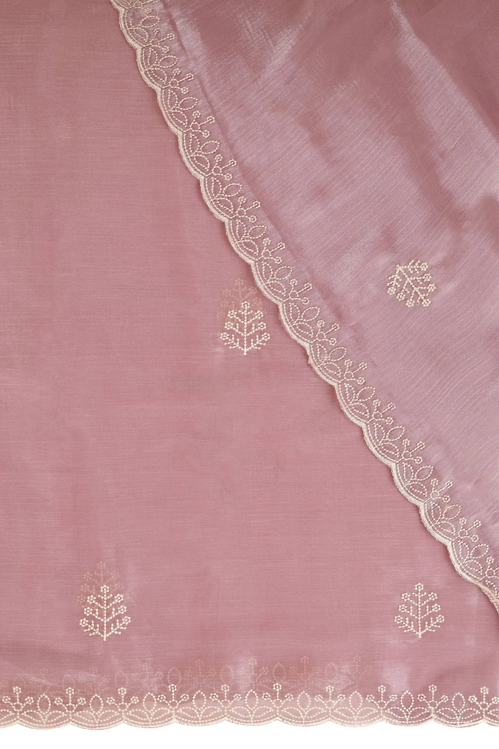 Teejh Bhavna Blush Pink Tissue Saree