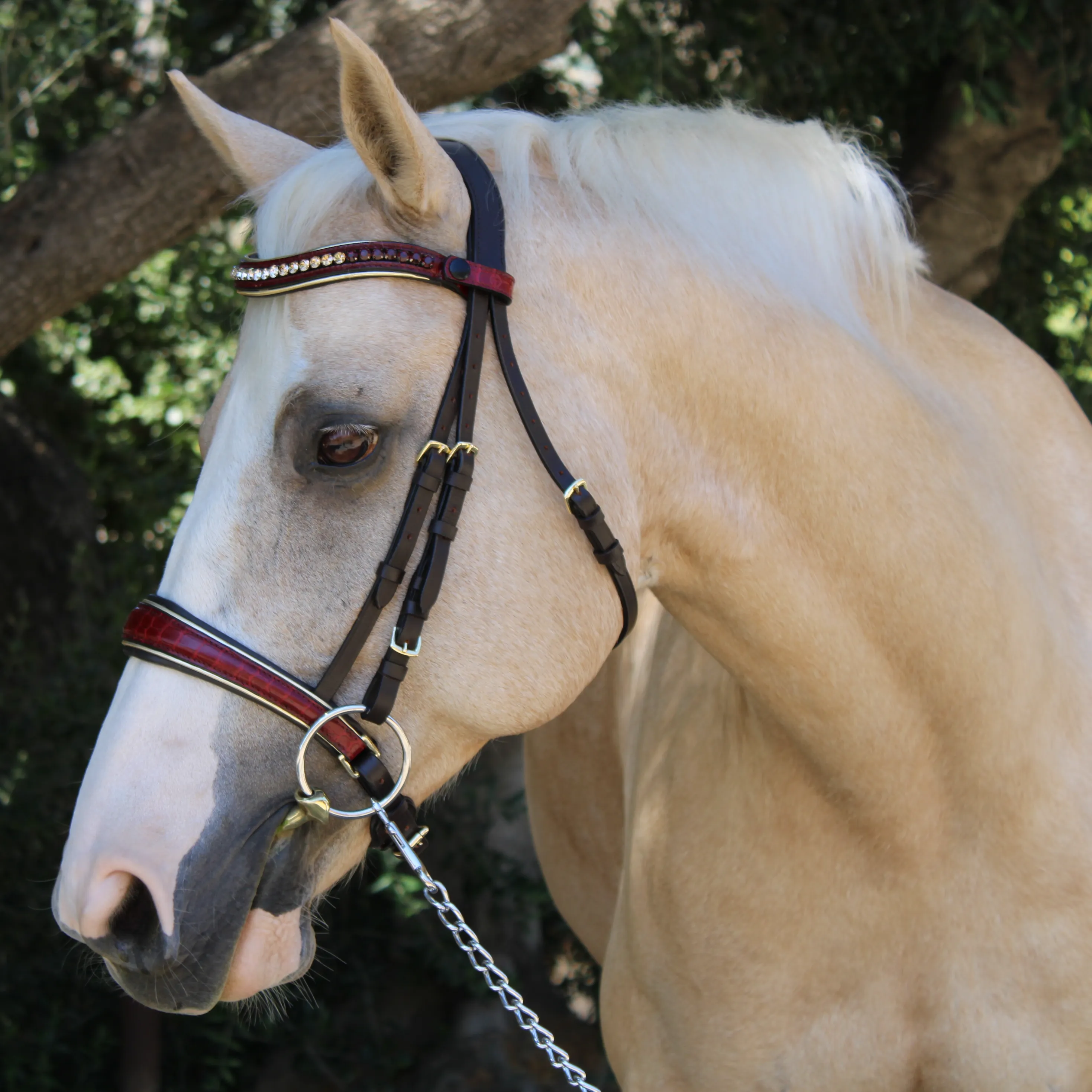 The Centerfold - Brown Leather & Burgundy Croc Snaffle Bridle