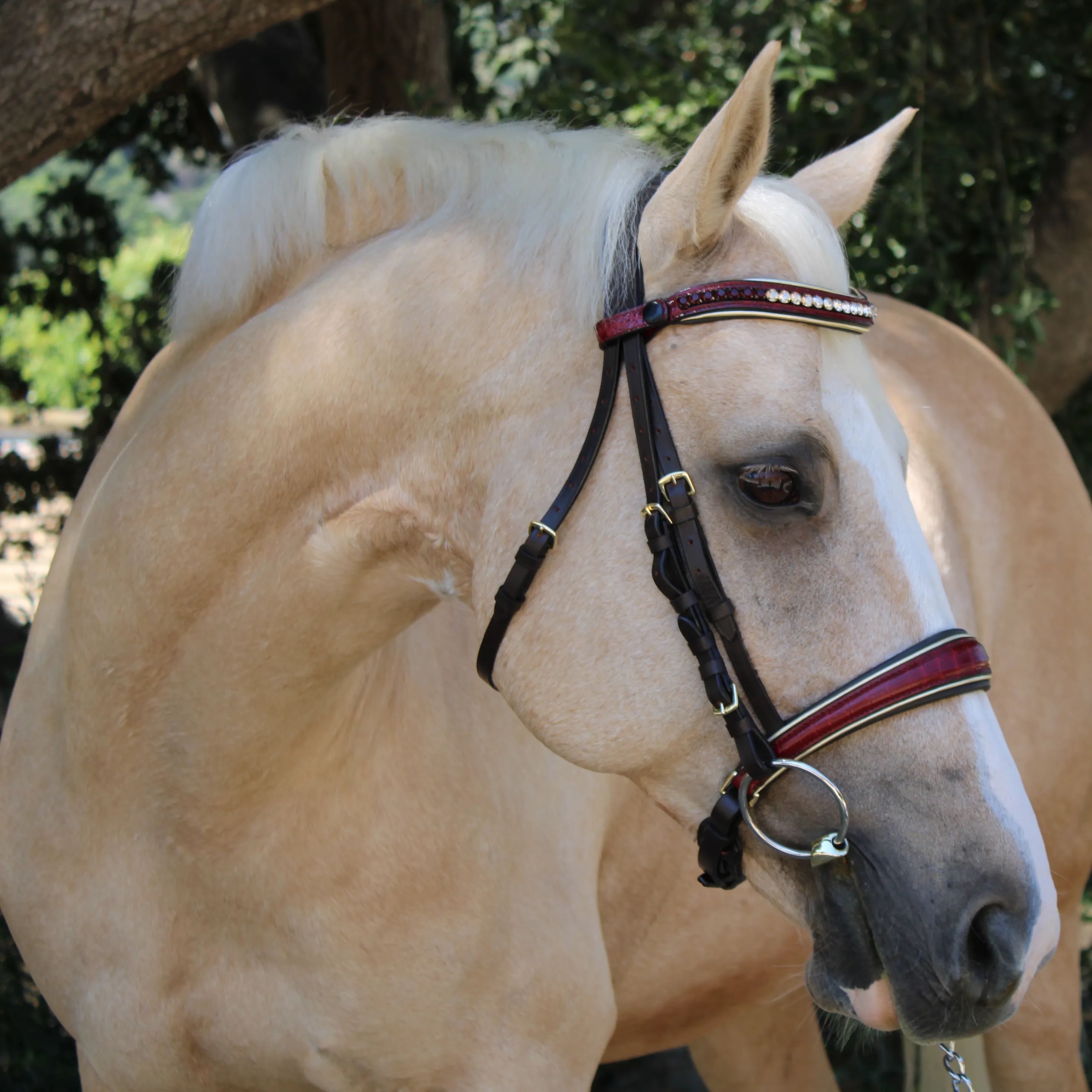 The Centerfold - Brown Leather & Burgundy Croc Snaffle Bridle