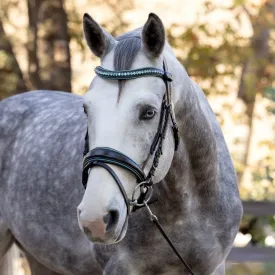 The Santorini Black Leather Snaffle Bridle